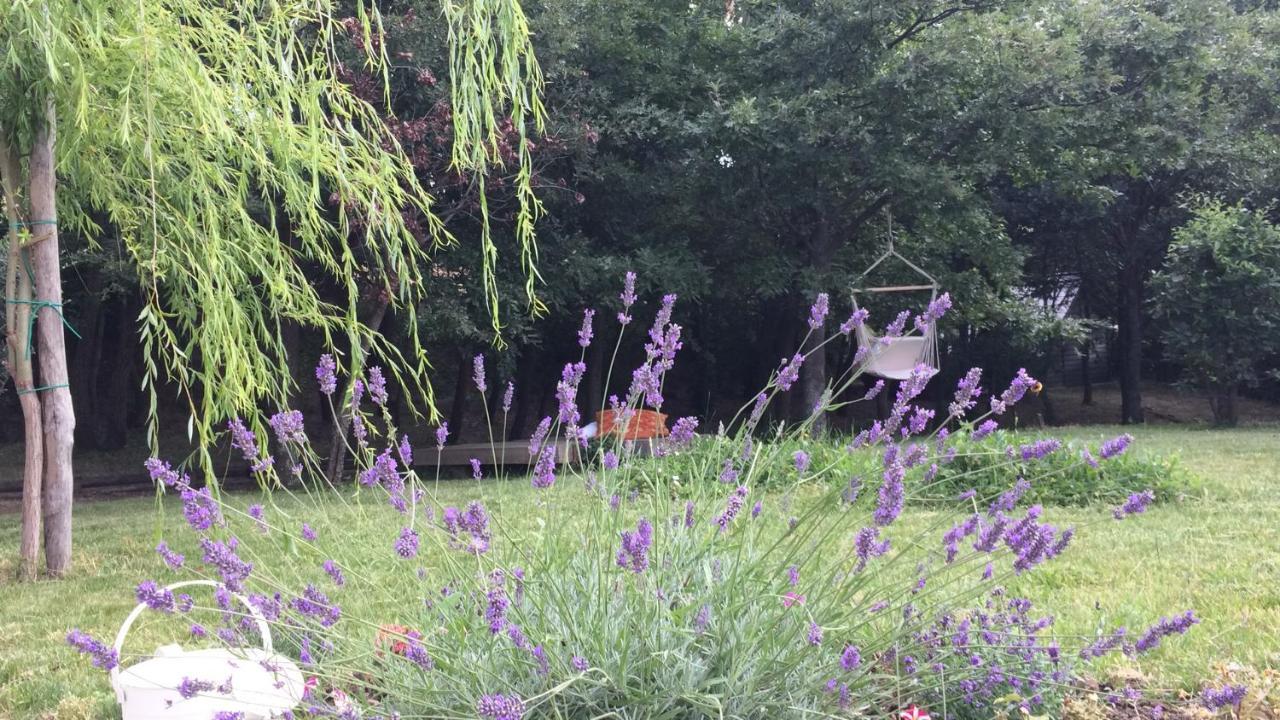Vieniacasaccadia Bed & Breakfast Екстериор снимка