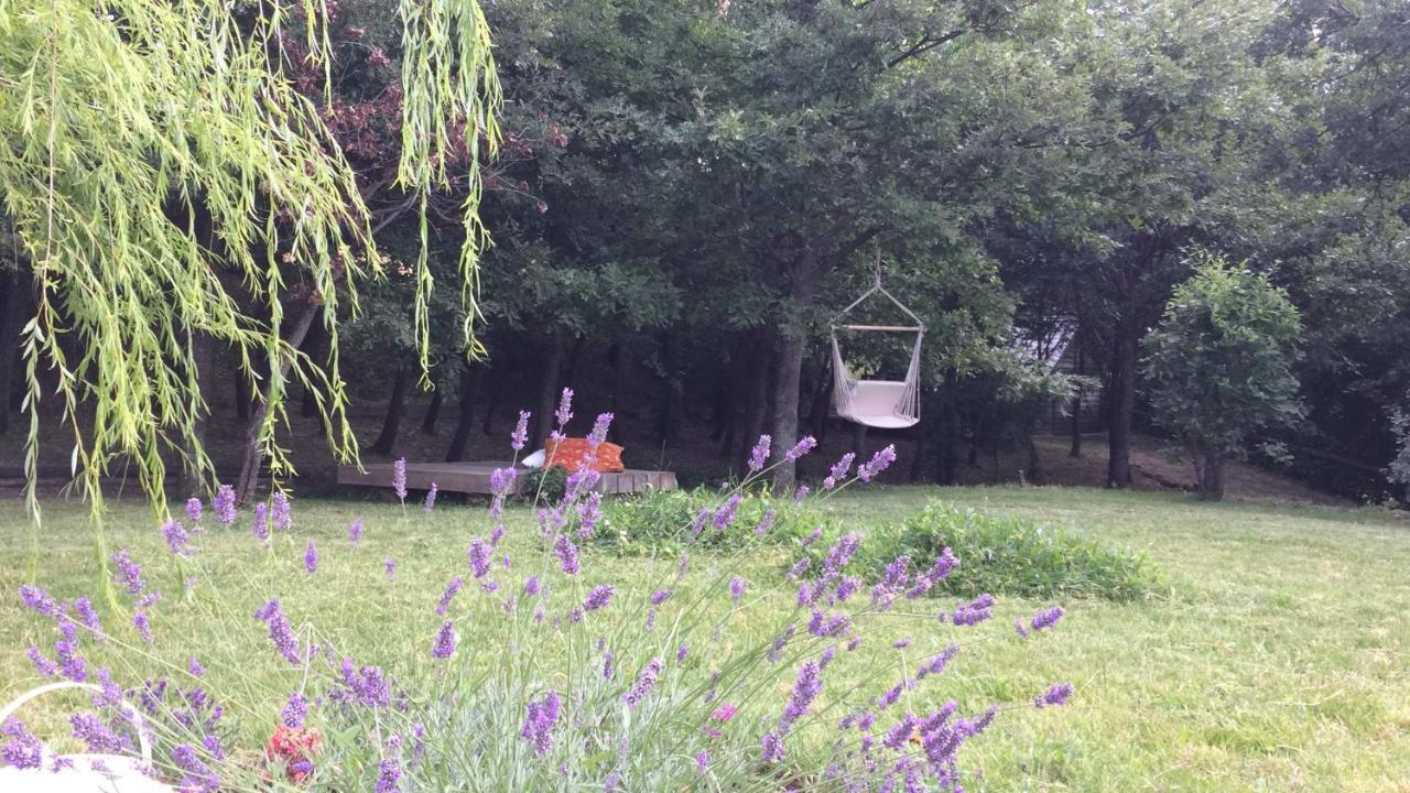 Vieniacasaccadia Bed & Breakfast Екстериор снимка